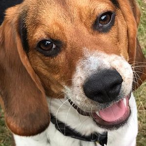 Meet your Posher, Twila